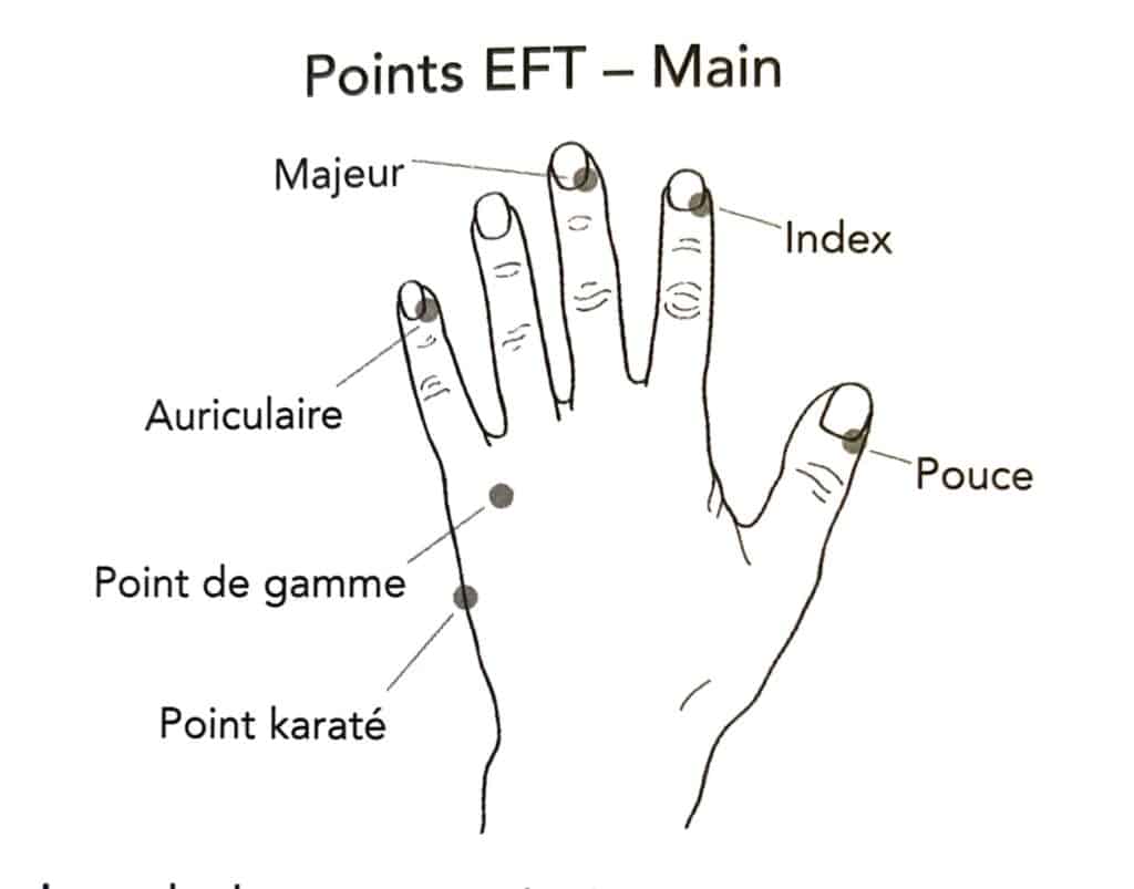 Point EFT main